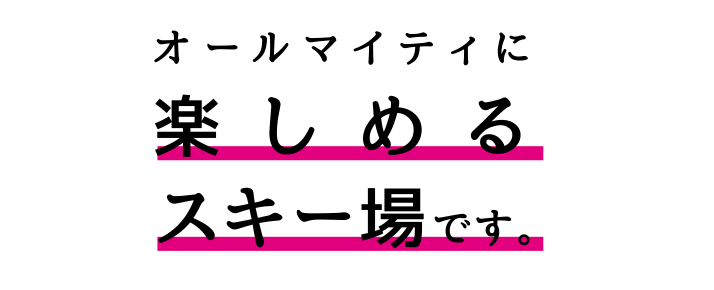 BURTON - ハンターマウンテン、丸沼高原等共通リフト1日券×4の+anai.it